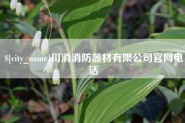 咸宁川消消防器材有限公司官网电话