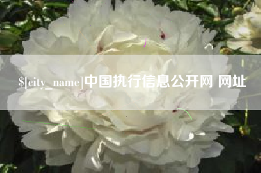 咸宁中国执行信息公开网 网址