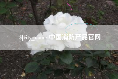 咸宁中国消防产品官网