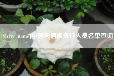 咸宁中国失信被执行人员名单查询