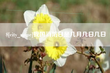 咸宁我国消防日是几月几日几日