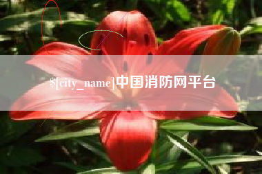 咸宁中国消防网平台