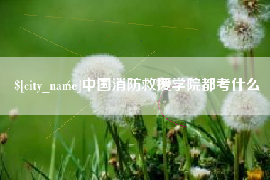 咸宁中国消防救援学院都考什么