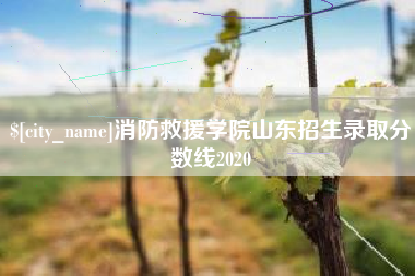 咸宁消防救援学院山东招生录取分数线2020