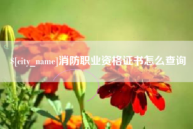 咸宁消防职业资格证书怎么查询