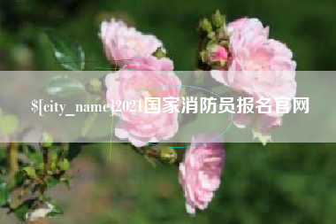 咸宁2021国家消防员报名官网