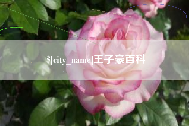 咸宁王子豪百科