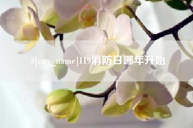 咸宁119消防日哪年开始
