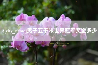 咸宁男子五千米世界冠军奖金多少