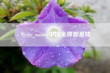 咸宁中国金牌都是啥
