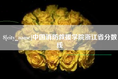 咸宁中国消防救援学院浙江省分数线