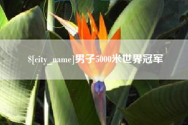 咸宁男子5000米世界冠军