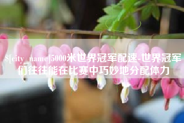 咸宁5000米世界冠军配速-世界冠军们往往能在比赛中巧妙地分配体力