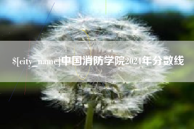 咸宁中国消防学院2024年分数线