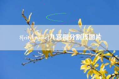 咸宁九宫图分割线图片