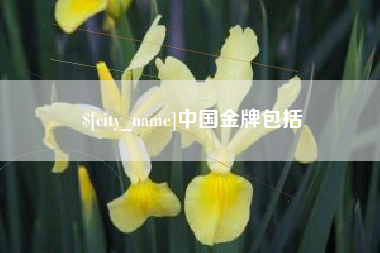 咸宁中国金牌包括