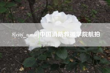 咸宁中国消防救援学院航拍