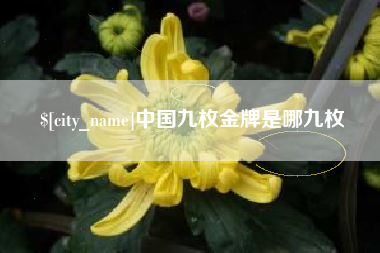 咸宁中国九枚金牌是哪九枚