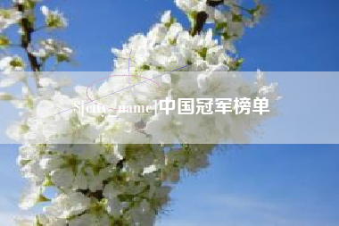 咸宁中国冠军榜单