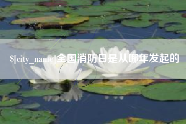 咸宁全国消防日是从哪年发起的