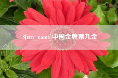 咸宁中国金牌第九金