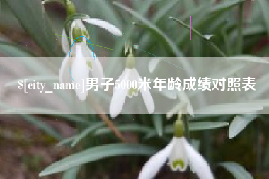 咸宁男子5000米年龄成绩对照表