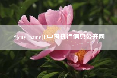 咸宁1.中国执行信息公开网