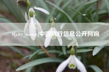咸宁中国执行信息公开网询