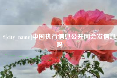 咸宁中国执行信息公开网会发信息吗