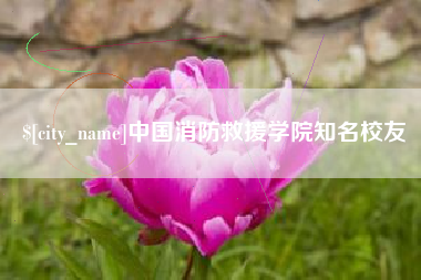 咸宁中国消防救援学院知名校友