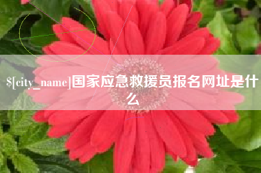 咸宁国家应急救援员报名网址是什么
