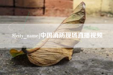 咸宁中国消防现场直播视频