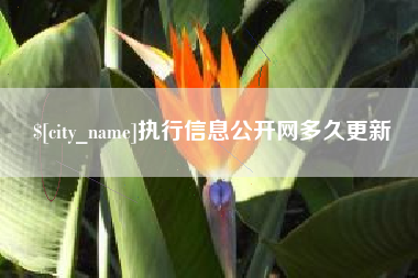 咸宁执行信息公开网多久更新