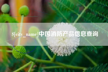 咸宁中国消防产品信息查询