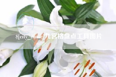 咸宁九宫格盘点工具图片