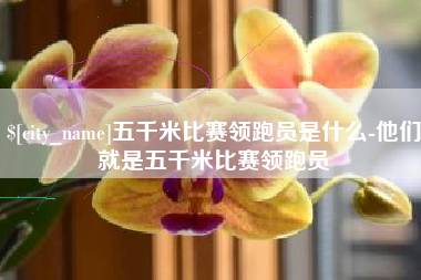 咸宁五千米比赛领跑员是什么-他们就是五千米比赛领跑员