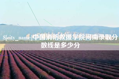 咸宁中国消防救援学院河南录取分数线是多少分