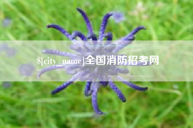 咸宁全国消防招考网