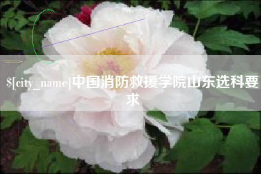 咸宁中国消防救援学院山东选科要求