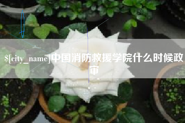 咸宁中国消防救援学院什么时候政审