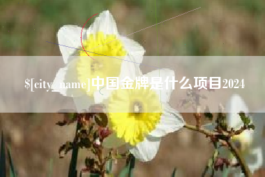 咸宁中国金牌是什么项目2024