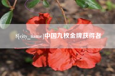 咸宁中国九枚金牌获得者