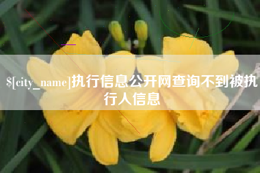 咸宁执行信息公开网查询不到被执行人信息
