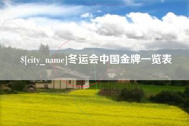 咸宁冬运会中国金牌一览表