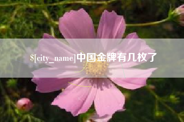 咸宁中国金牌有几枚了