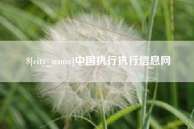 咸宁中国执行执行信息网