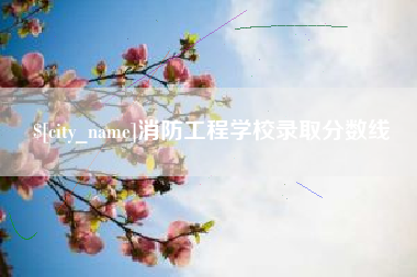 咸宁消防工程学校录取分数线