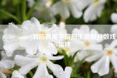 咸宁消防救援学院招生录取分数线2020福建