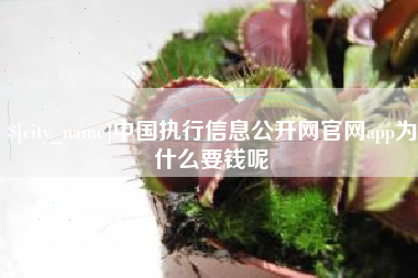 咸宁中国执行信息公开网官网app为什么要钱呢