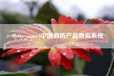咸宁中国消防产品查询系统